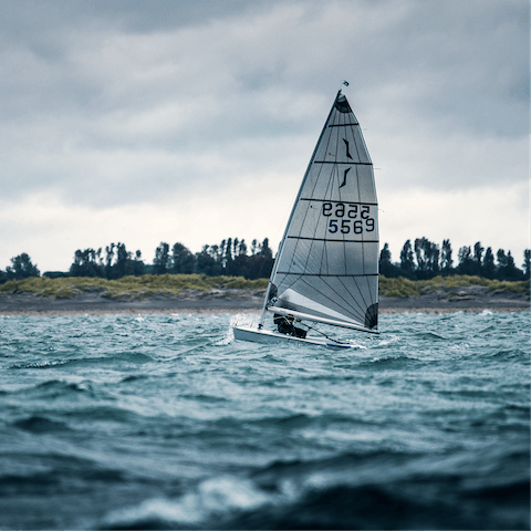 Get out on the water and learn to sail and surf 