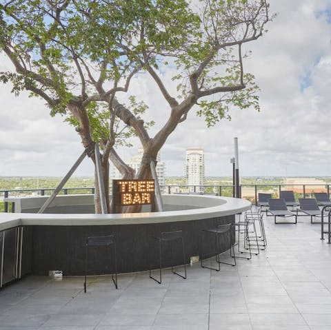 Take a perch at the tree bar on the rooftop terrace
