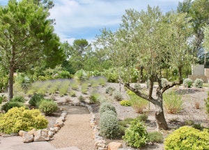 Pétanque Parlour image 14