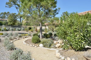Pétanque Parlour image 8