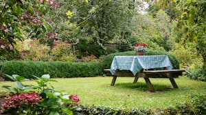 A New Belonging image 12
