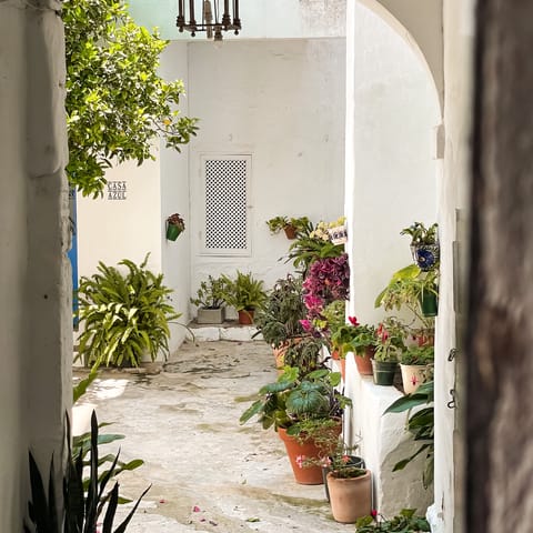 Wander through the whitewashed streets of nearby Montefrío
