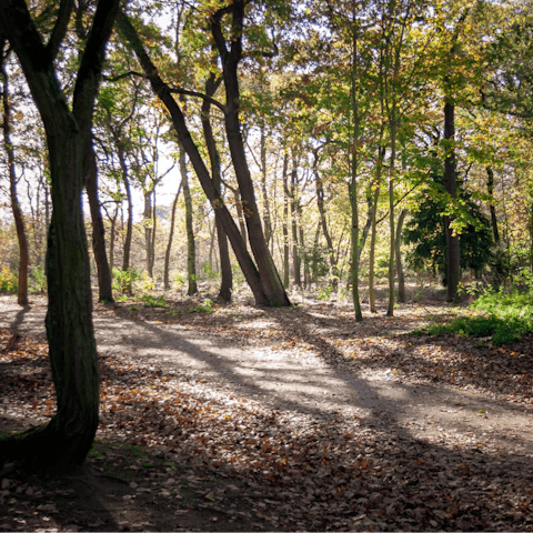 Explore Boulogne-Billancourt, including the nearby Bois de Boulogne  