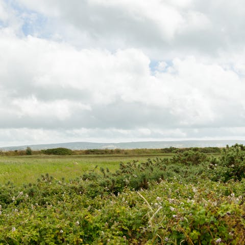 Plenty of countryside to explore