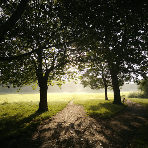 Enjoy a morning stroll through the leafy Wandsworth Common