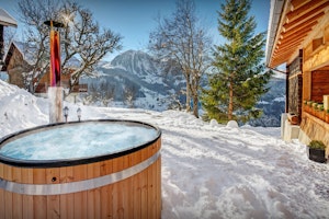 Savoyard Bliss image 10