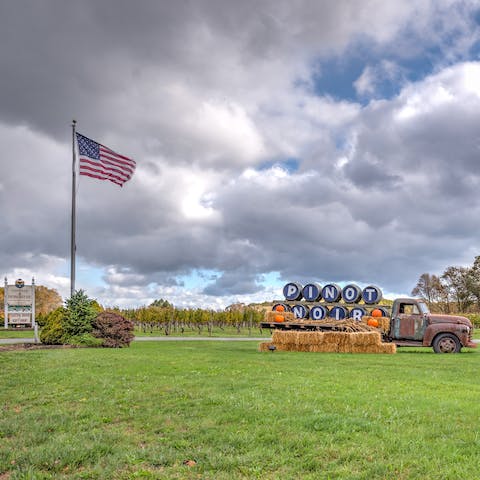 Visit vineyard after vineyard along the North Fork wine trail