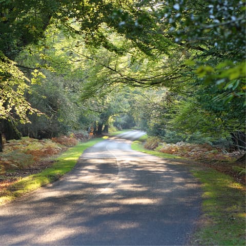 Pull on your hiking boots and enjoy a stroll around nearby New Forest National Park