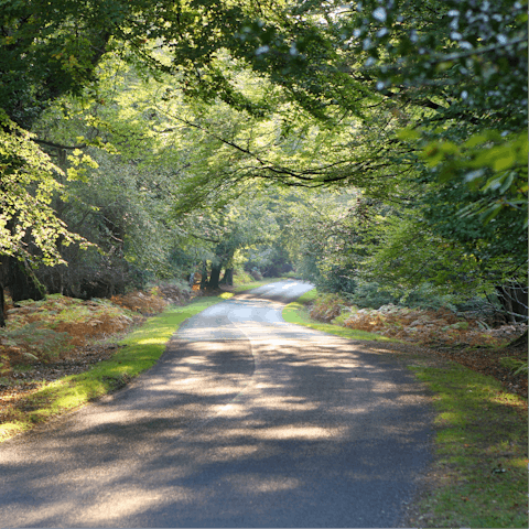 Pull on your hiking boots and enjoy a stroll around nearby New Forest National Park