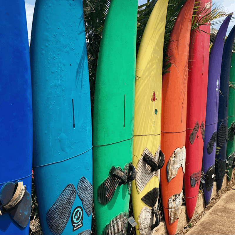 Make the most of the Californian surf