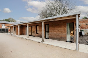 Hedgerow & Timber image 7