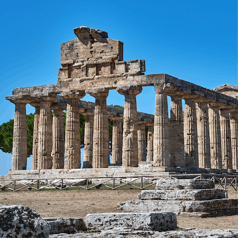 Immerse yourself in the area's rich history, with visits to the archaeological sites of Paestum and Velia