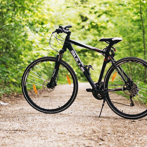 Take out your bike on the famous Camel Trail only 5 minutes away
