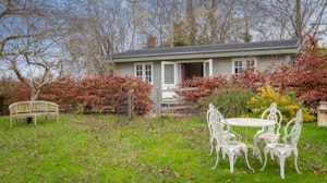 Copper Beech image 15