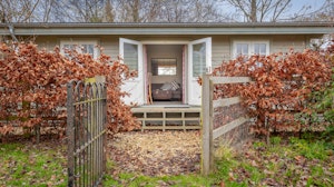 Copper Beech image 13