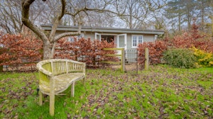Copper Beech image 4