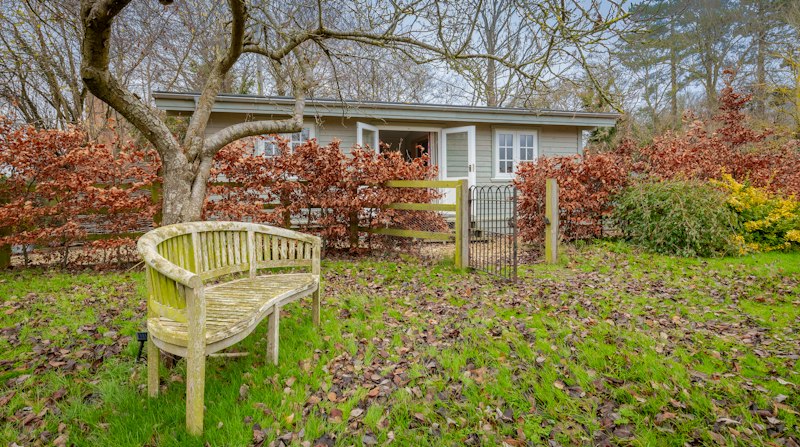Copper Beech additional image