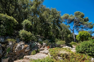 Lac de Saint-Cassien View image 5
