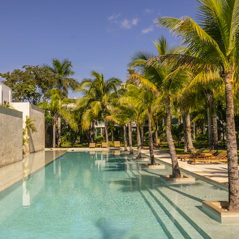 Spend blissful afternoons lounging by the shared pool