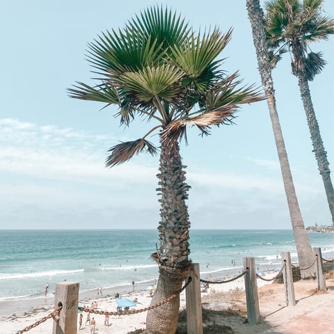 Take a short drive to lively Mission Beach