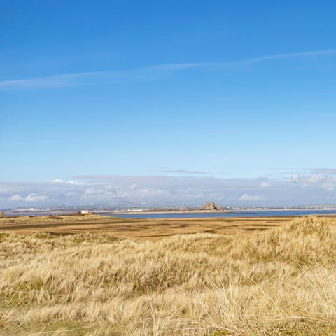 Drink in the views of the South Walney Nature Reserve – you're right at its heart