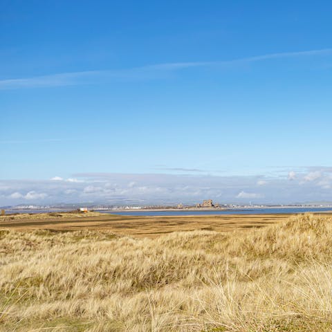 Drink in the views of the South Walney Nature Reserve – you're right at its heart