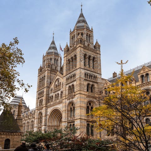 Visit the Natural History Museum – only a twenty-minute walk away