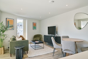 The Urban Scene image 1