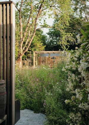 The Verdant Path image 4