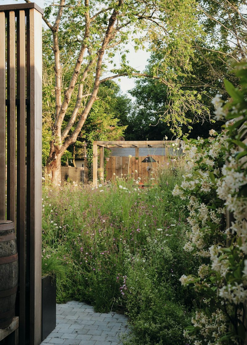 The Verdant Path additional image