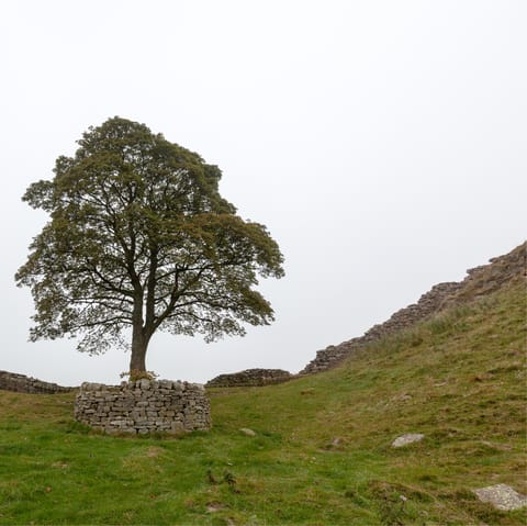 Head off on hikes across Northumberland National Park – Hadrian's Wall is just minutes away by car