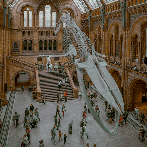 Walk down the road to the Natural History Museum