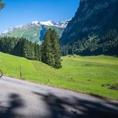 Put your hiking or biking shoes on and experience the Alps in the summer season