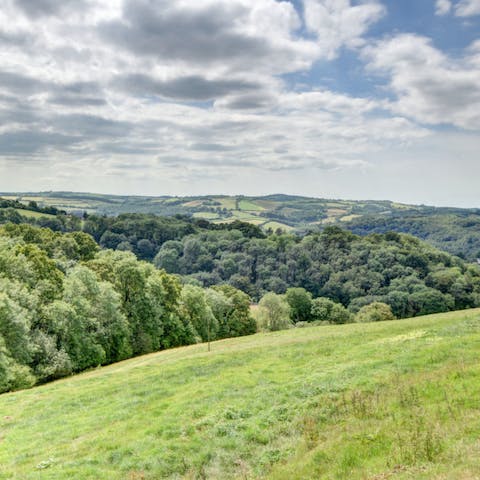 Explore the rural beauty of Devon