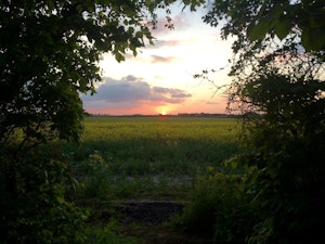 Away in the Country image 10