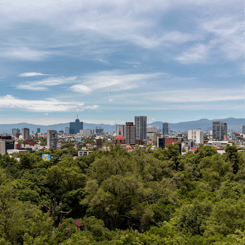 Explore the sights and sounds of Mexico City from your front door