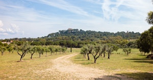 Azure Village image 6
