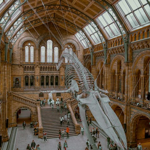 Make the fifteen-minute walk to the Natural History Museum