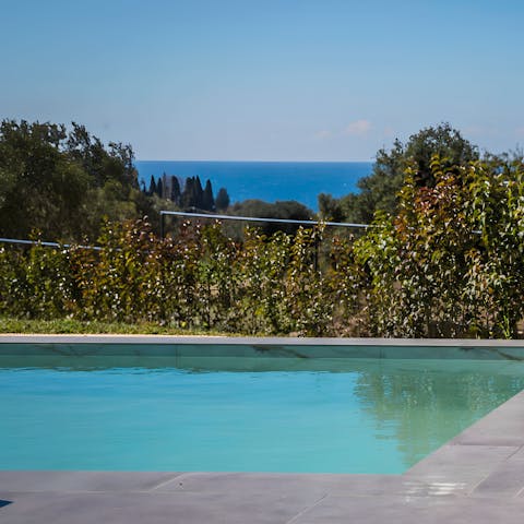 Enjoy views of the Ionian Sea from the private pool