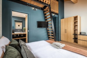 Alpine Crocus image 10