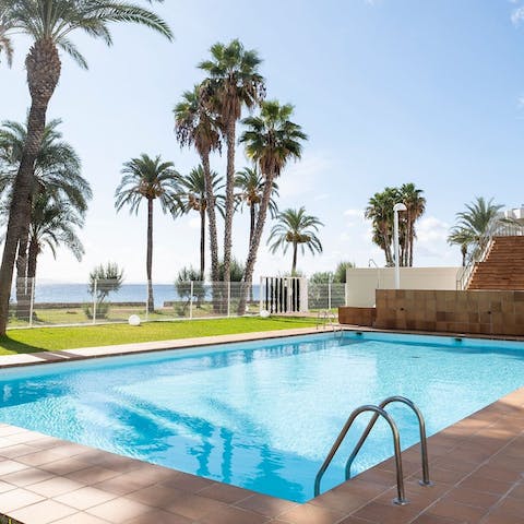 Take a dip in the communal pool with glorious sea views and palm trees to complete the picture 