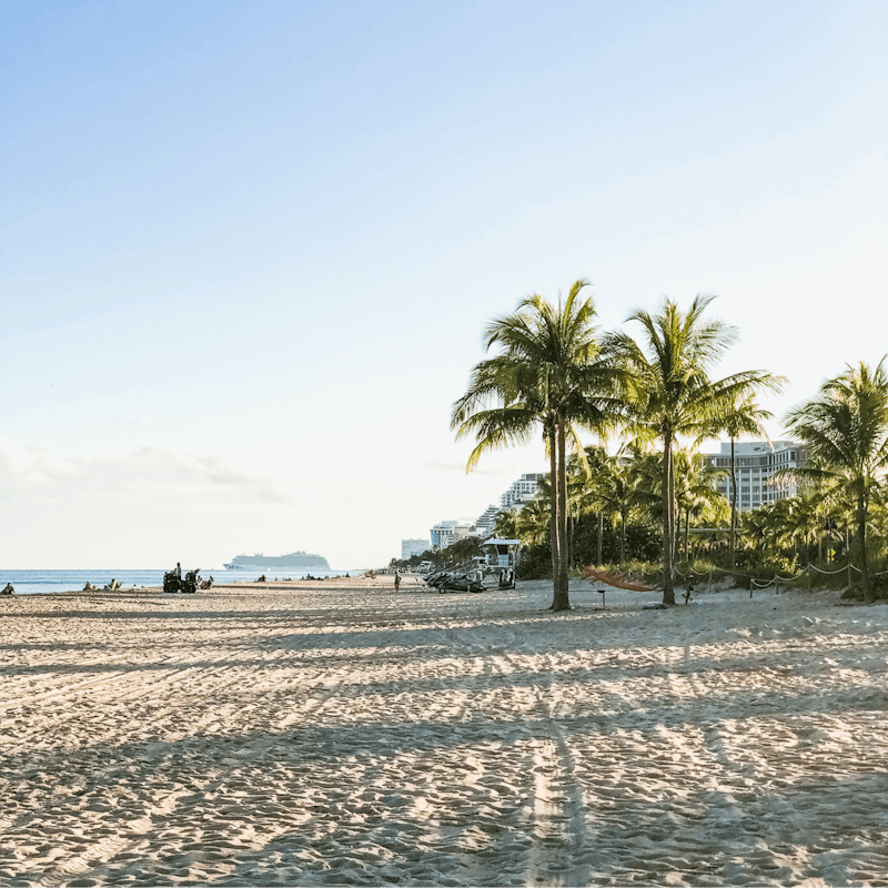 Explore the beaches of Davie and Fort Lauderdale