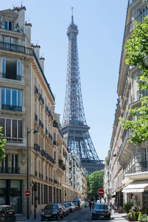 The Eiffel Rose image 9