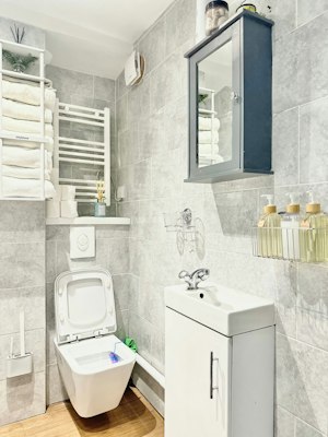 Regent Air image 3