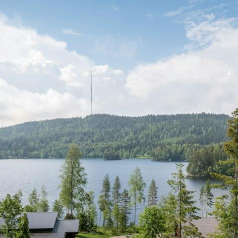 Explore Lake Jerojärvi on the host's standup paddleboards or rowing boat