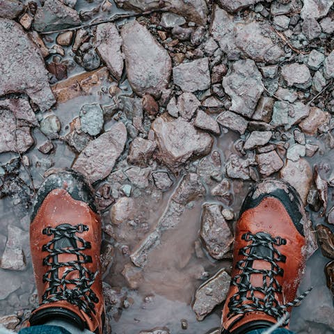 Pack your best walking shoes for long country walks