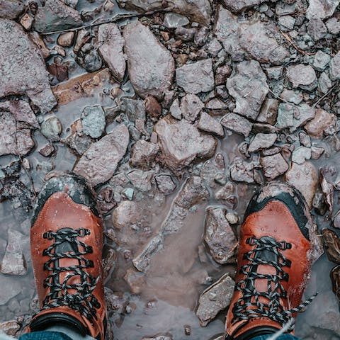 Pack your best walking shoes for long country walks
