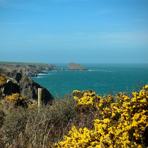 Stay in Newport on the Pembrokeshire Coast, a half-hour walk from the beach