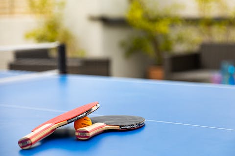 Challenge someone to a game of table tennis in the garden