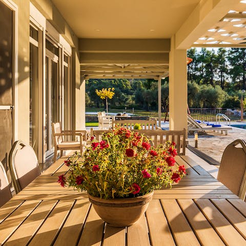 Prepare a traditional Greek meze to enjoy on the veranda